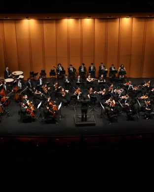 Virginia Symphony Norfolk