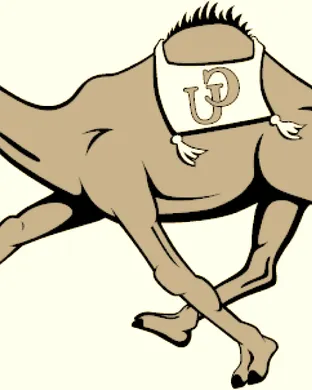 Campbell Fighting Camels Football Hampton
