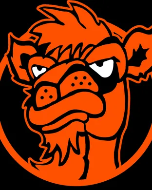 Campbell Fighting Camels Hampton