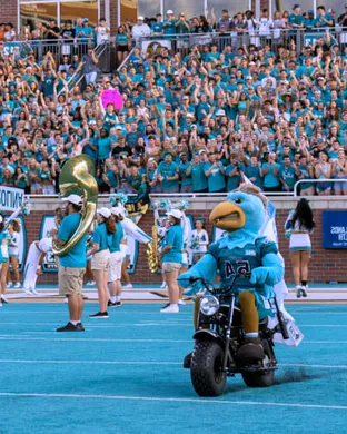 Coastal Carolina Chanticleers Conway