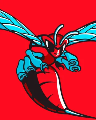 Delaware State Hornets Williamsburg