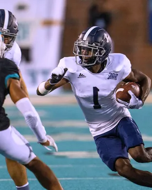 Georgia Southern Eagles Norfolk