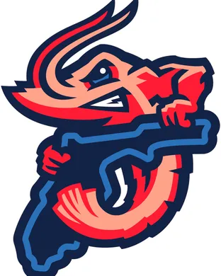 Jacksonville Jumbo Shrimp Norfolk