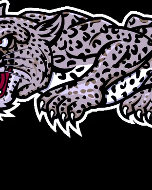 Lafayette Leopards Football Williamsburg