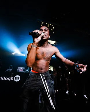 Loe Shimmy Norfolk