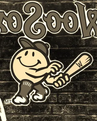 Worcester Red Sox Norfolk