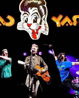 Stray Cats Virginia Beach