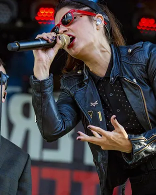 The Interrupters Norfolk